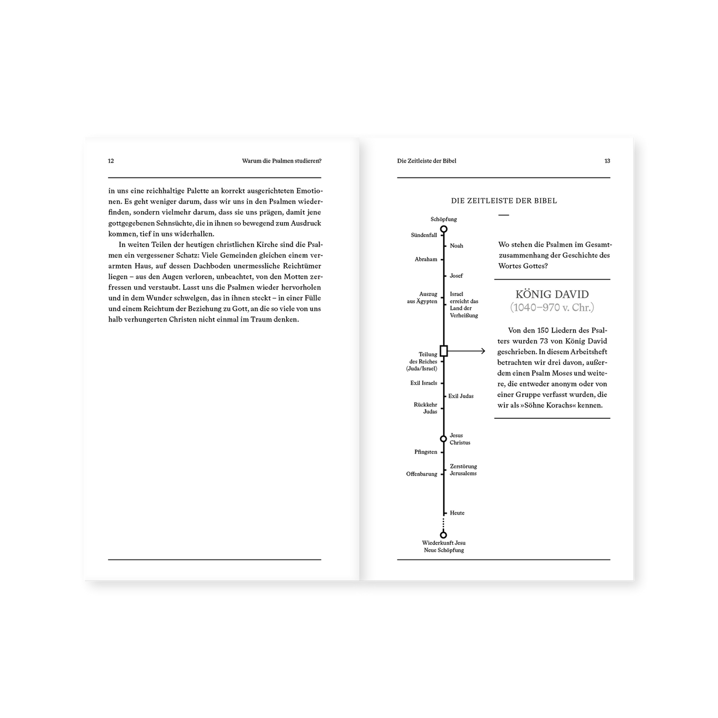 Psalmen – Arbeitsheft (Die Bibel erklärt)