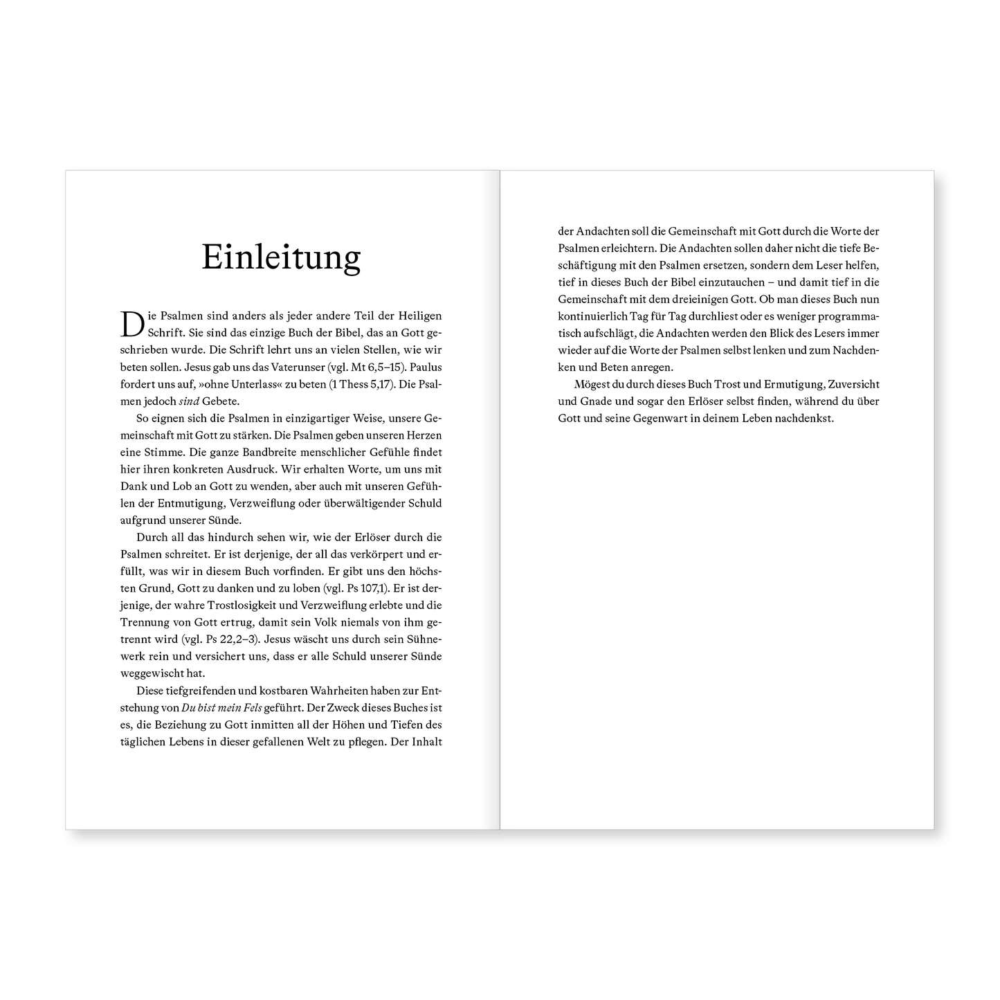 E-Book – Du bist mein Fels: In 150 Andachten durch die Psalmen