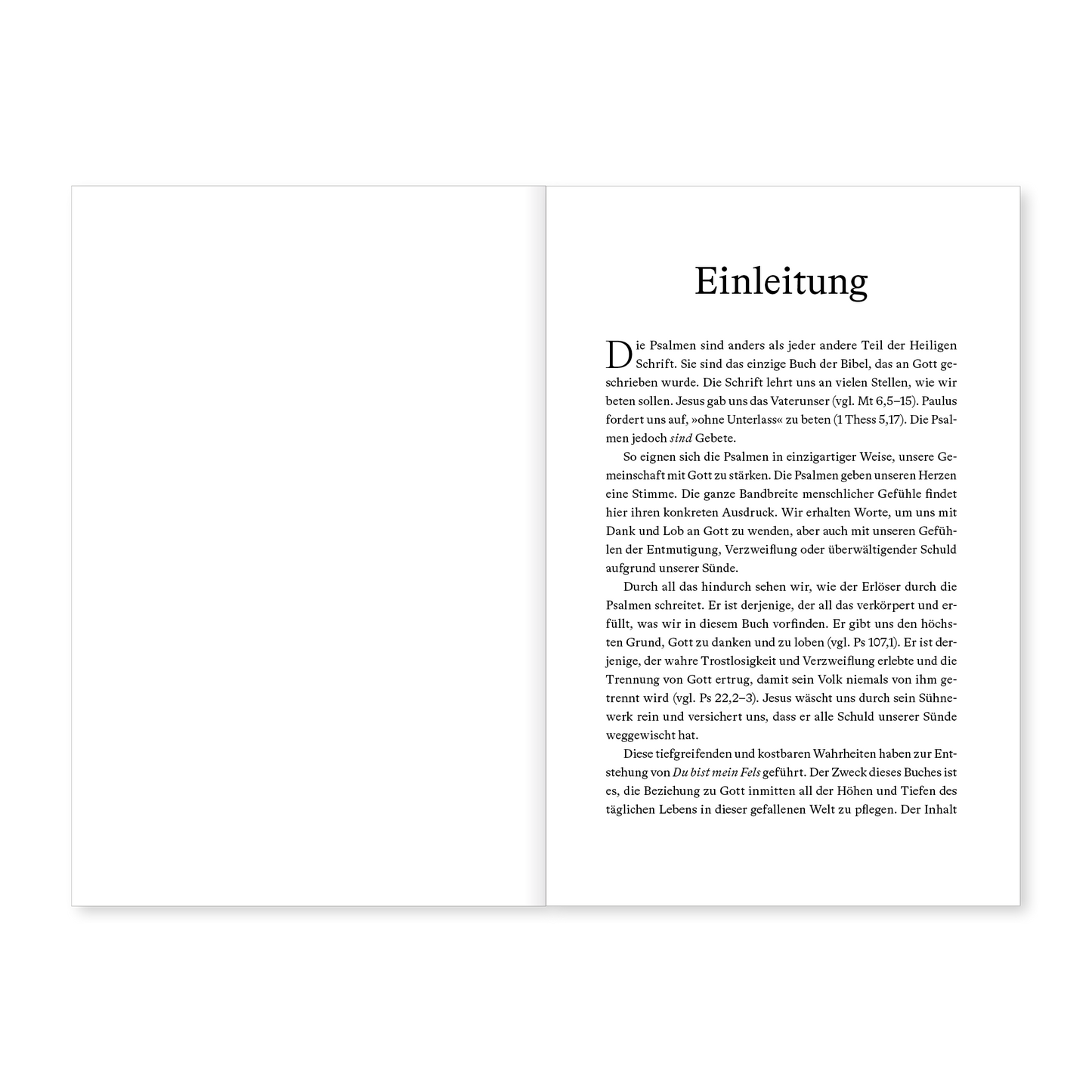Du bist mein Fels: In 150 Andachten durch die Psalmen