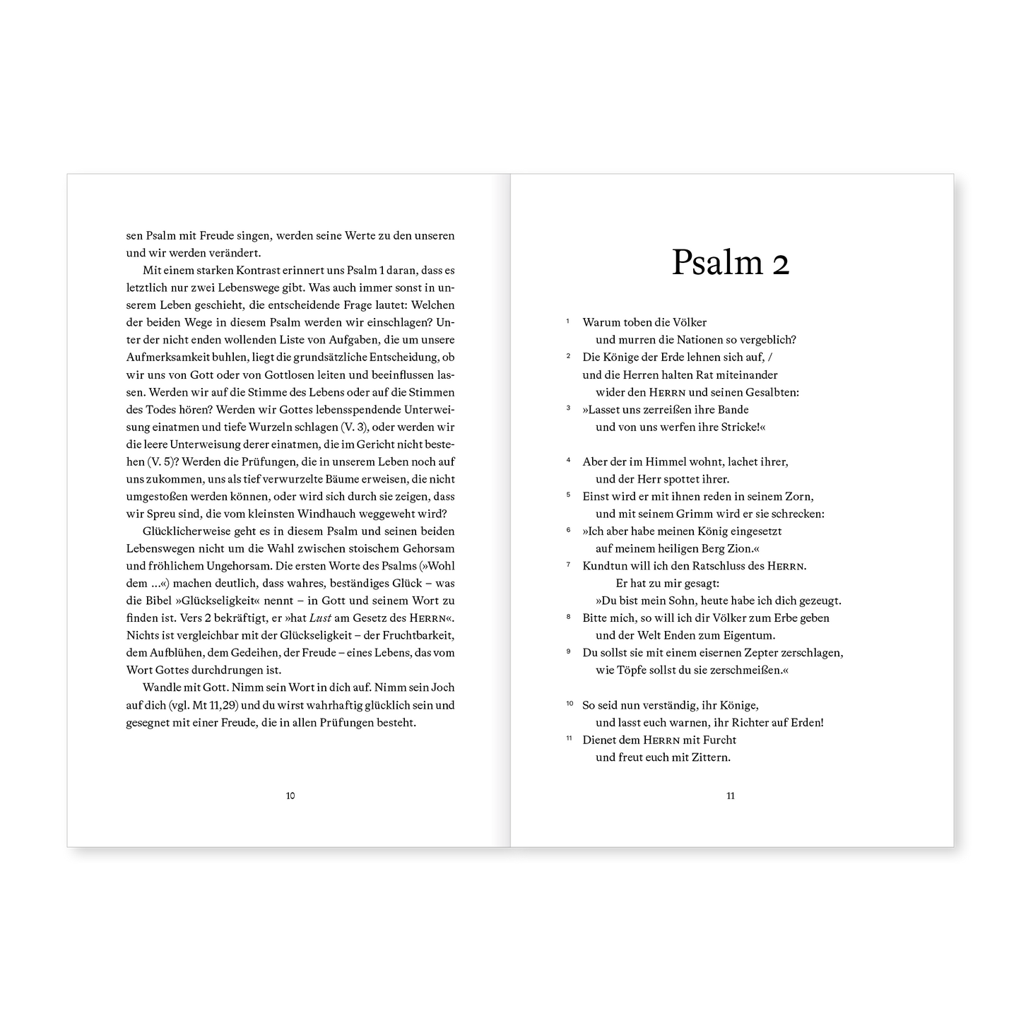 Du bist mein Fels: In 150 Andachten durch die Psalmen