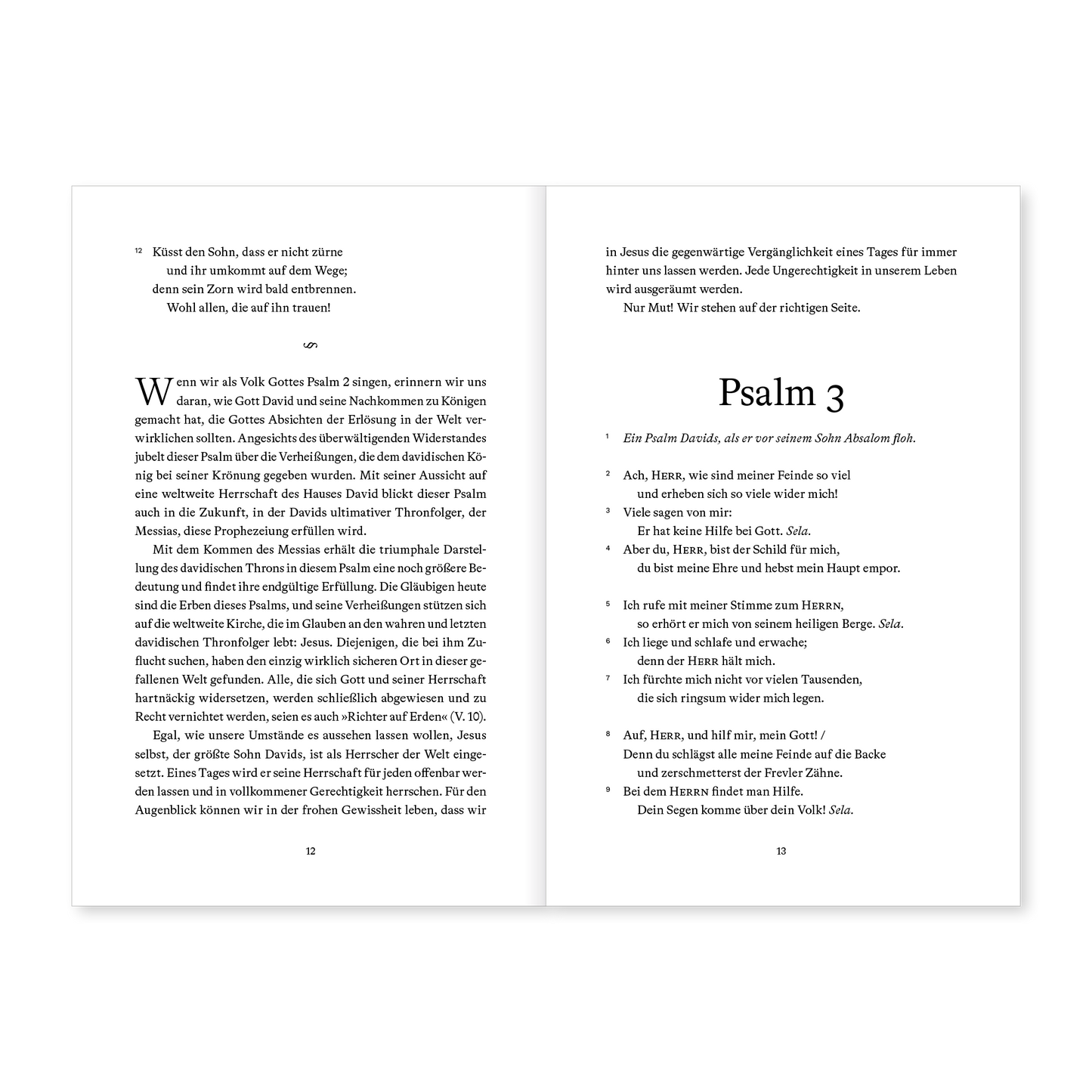 Du bist mein Fels: In 150 Andachten durch die Psalmen