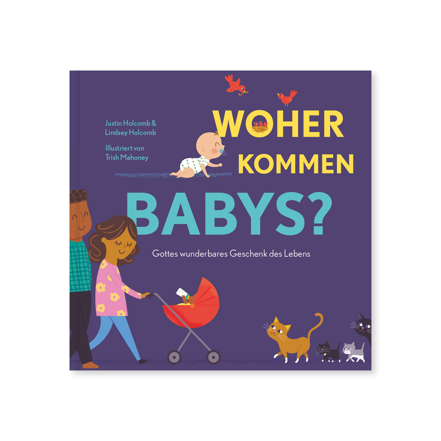 VM-Holcomb-WoherKommenBabys-Ansicht01.png