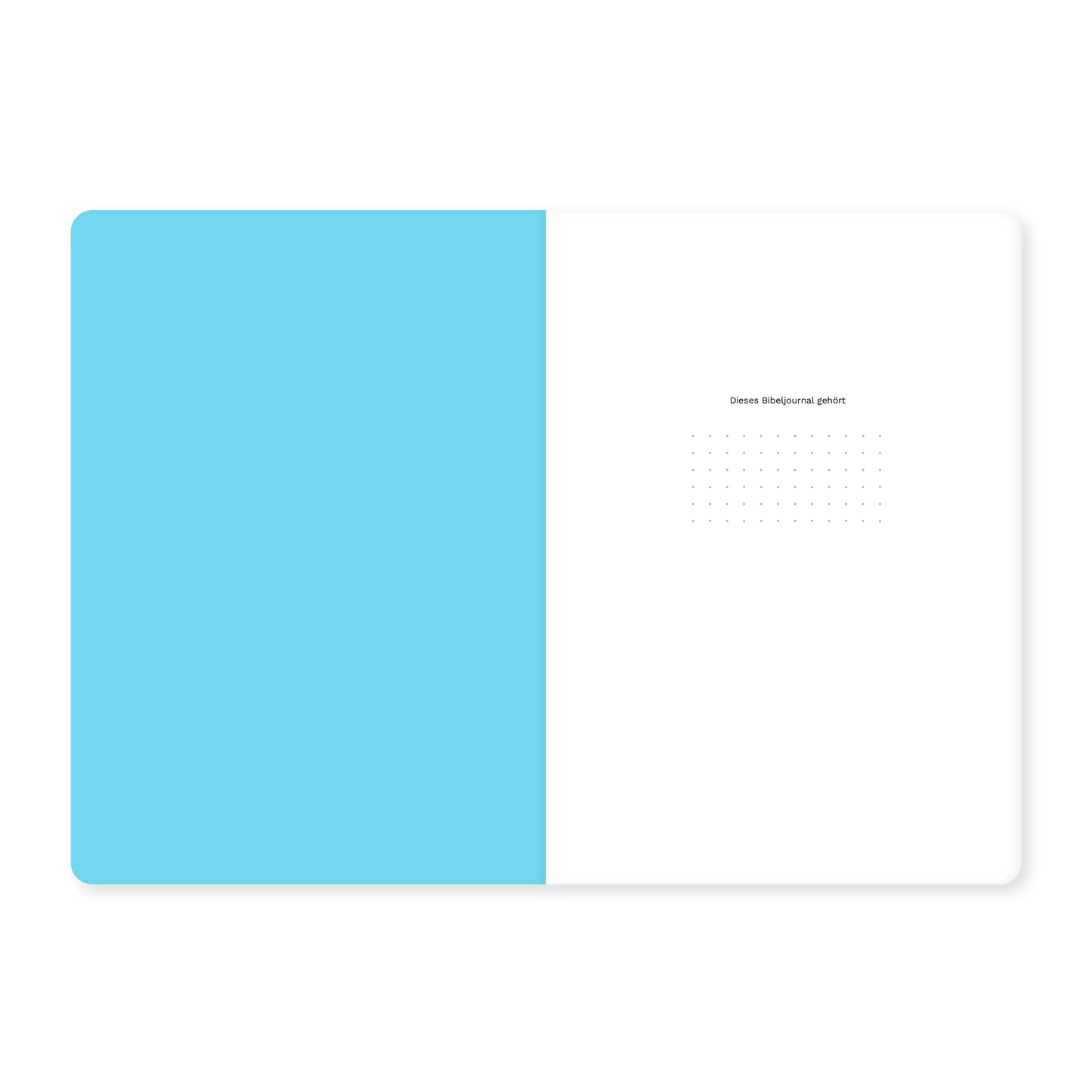 Josua (Bibeljournal)