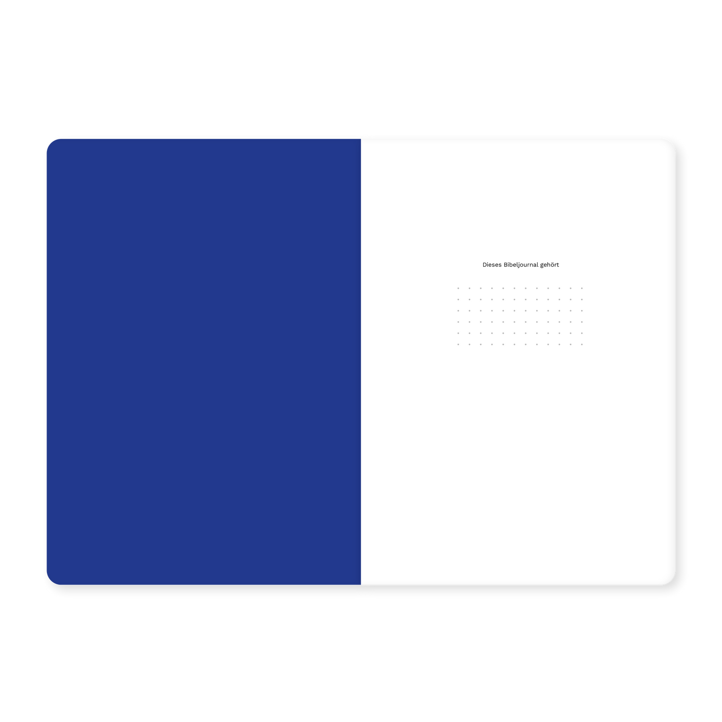 Römer (Bibeljournal)