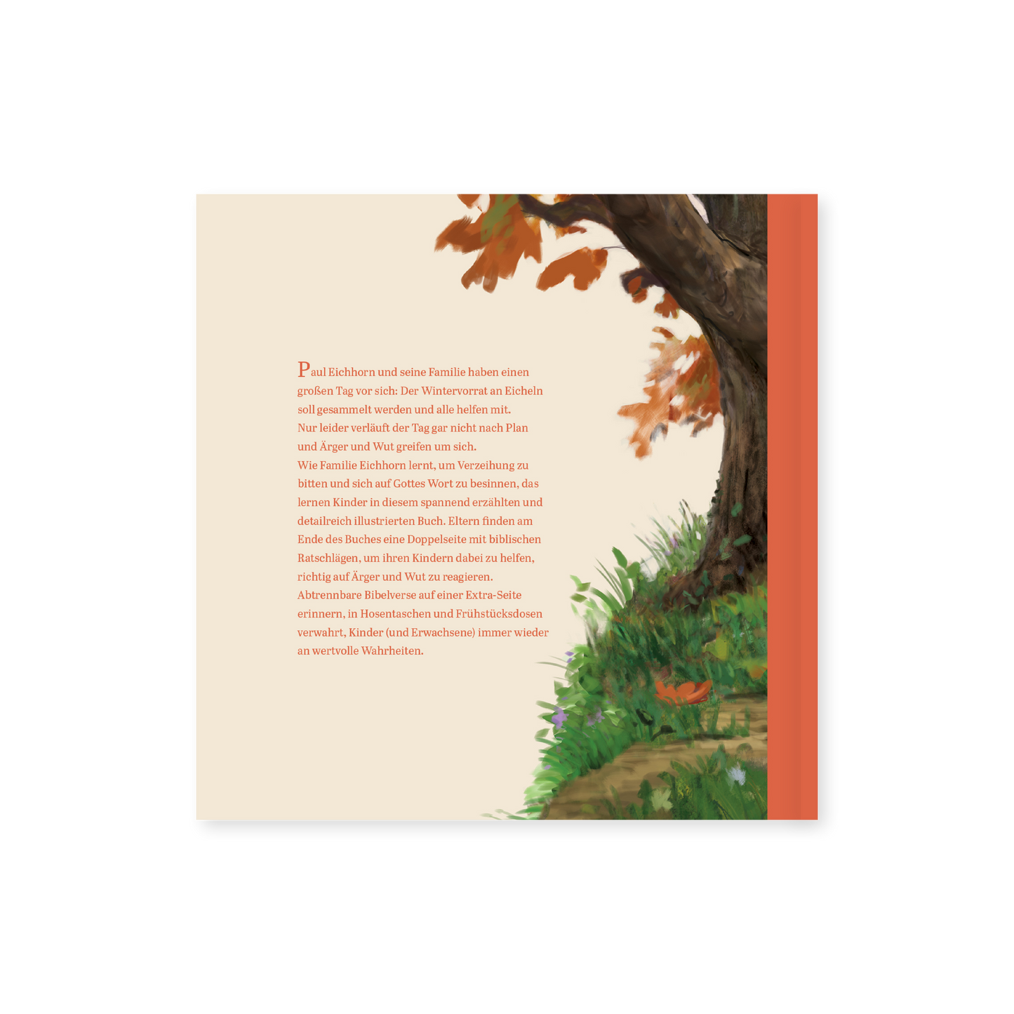 Paul sieht rot - Wenn du wütend bist - Christliches Kinderbuch