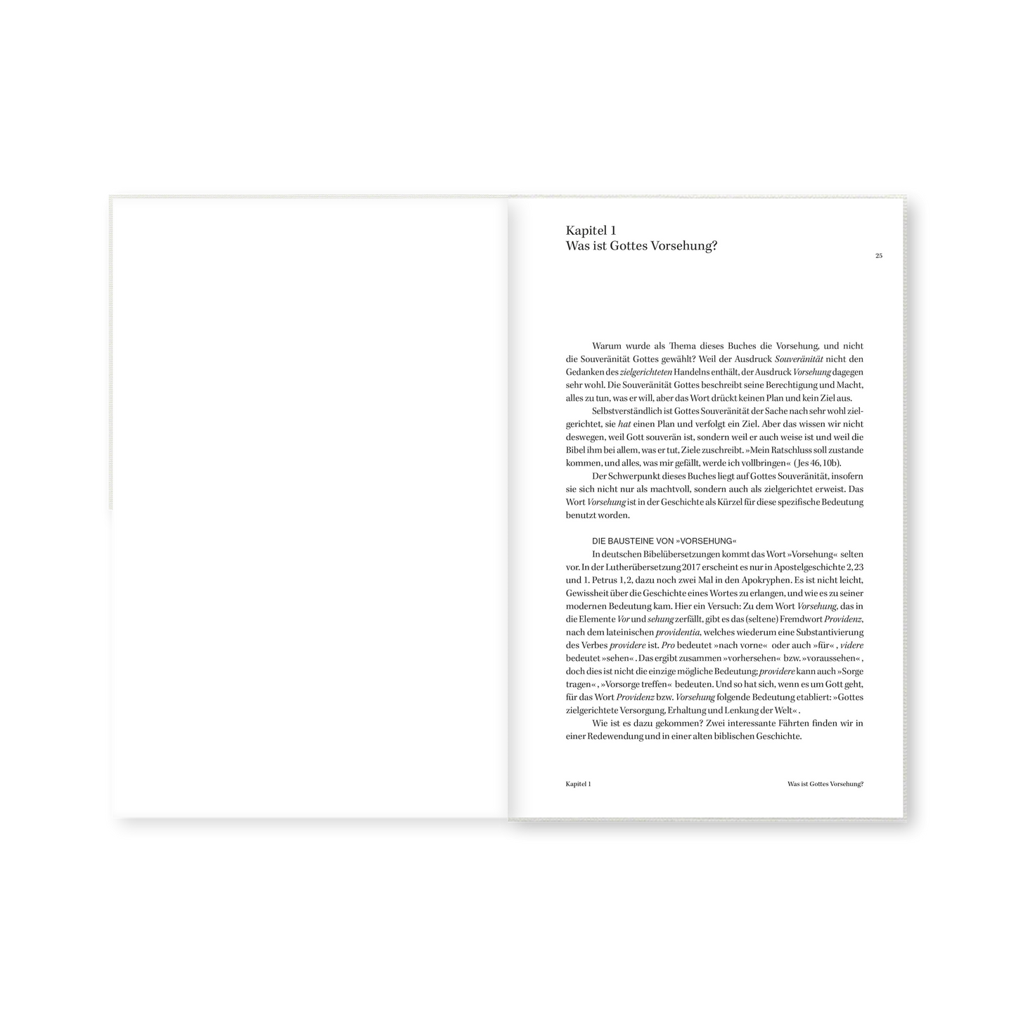 E-Book – Vorsehung