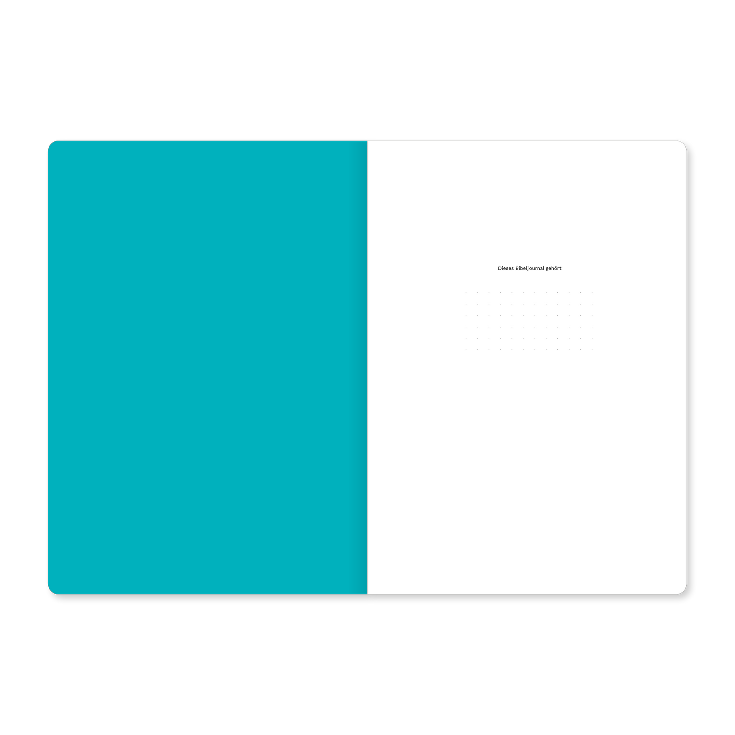 2. Korinther (Bibeljournal)