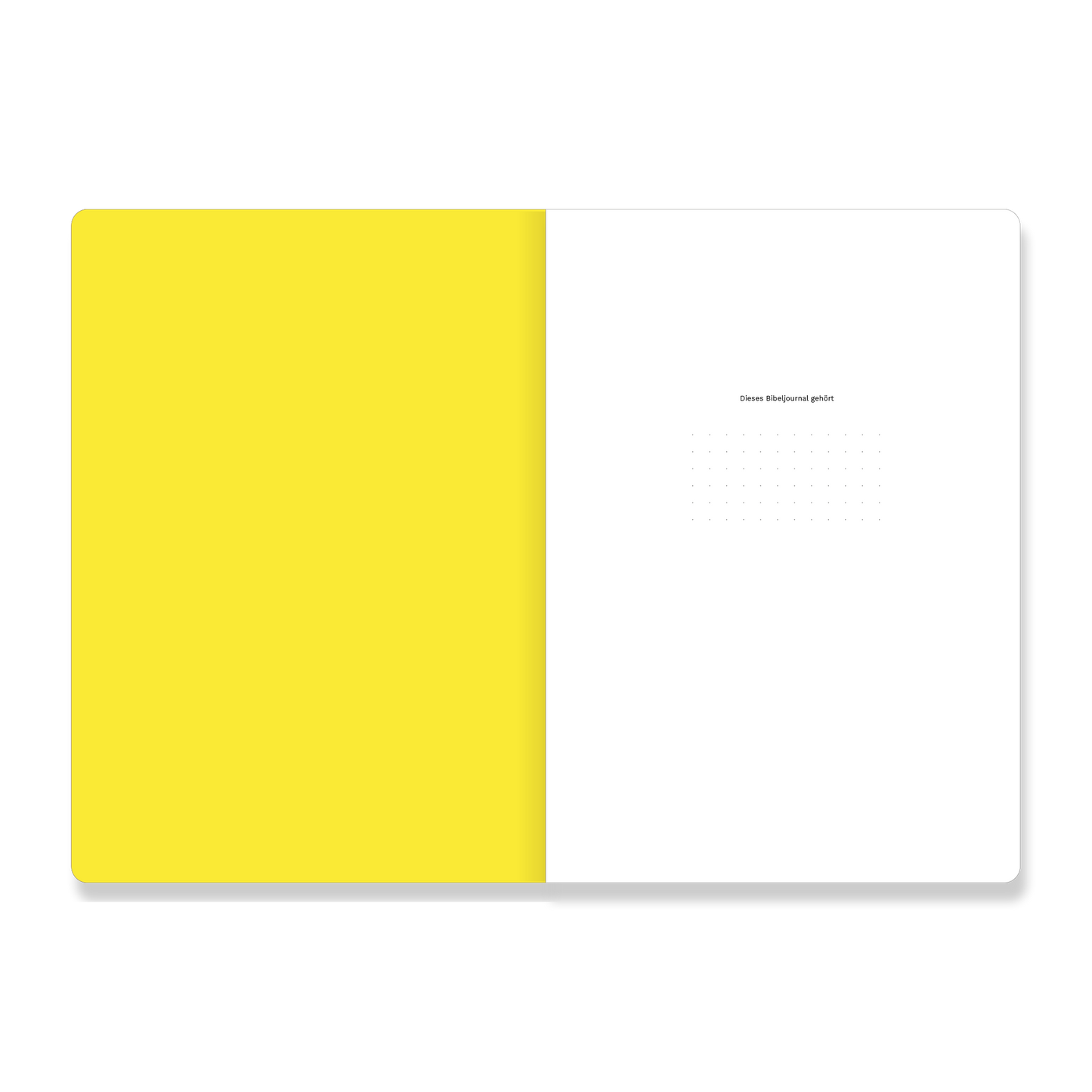 1.–2. Timotheus, Titus & Philemon (Bibeljournal)