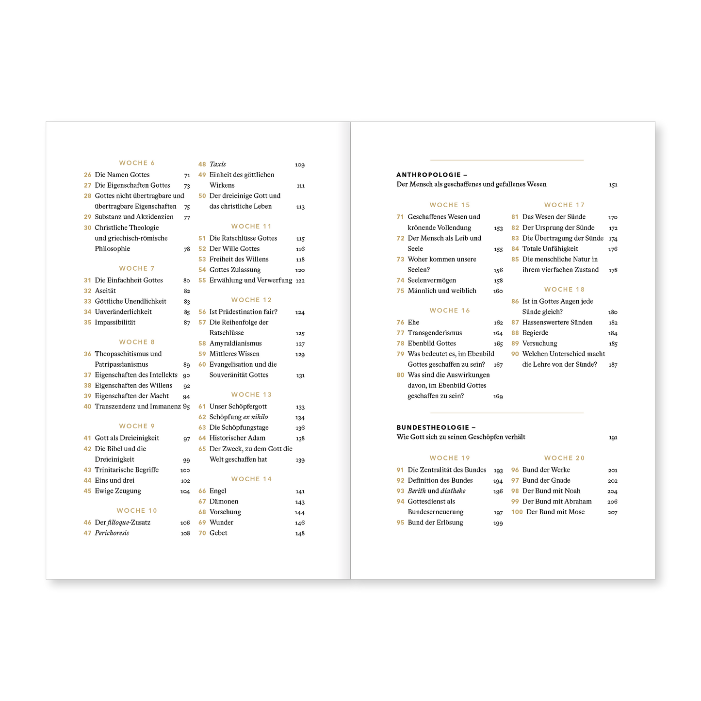 Theologie für jeden Tag: Andachten zur Systematischen Theologie