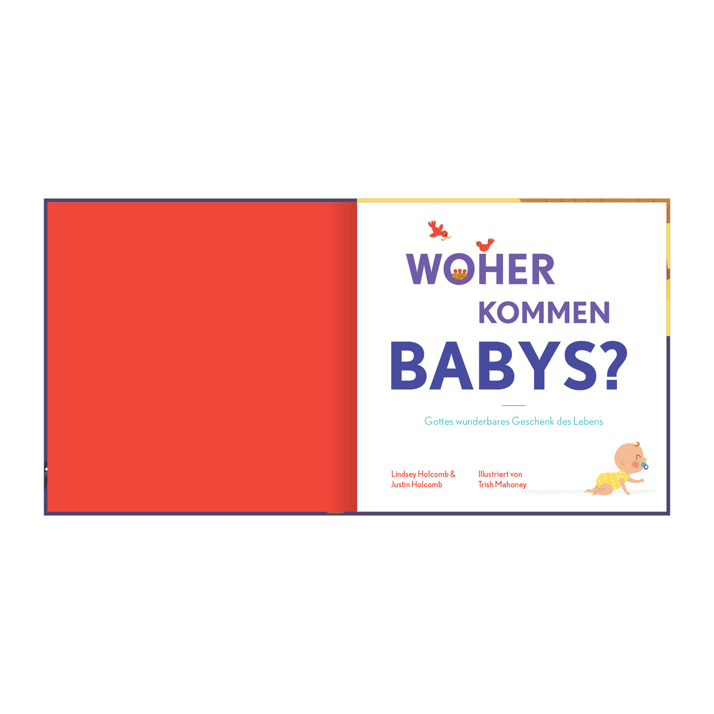 Woher kommen Babys?: Gottes wunderbares Geschenk des Lebens