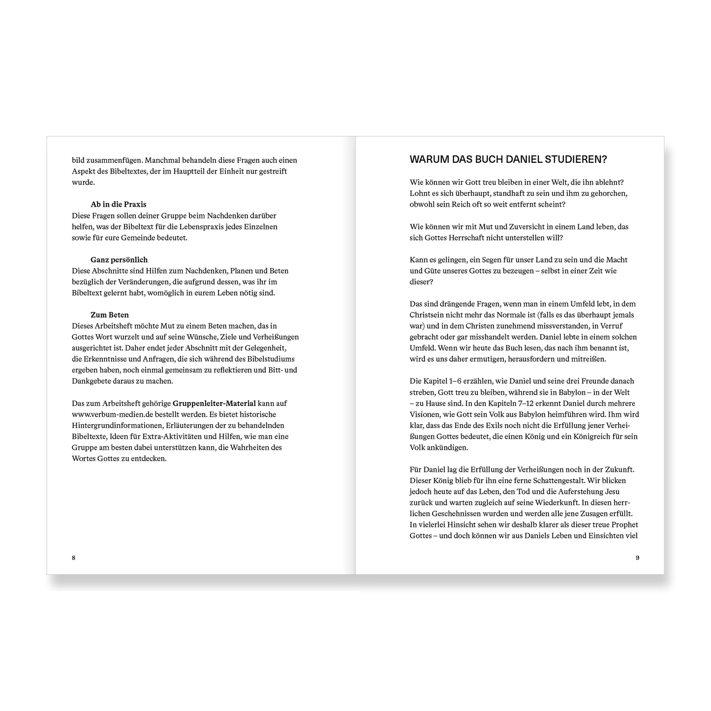 Daniel | Arbeitsheft (Die Bibel erklärt)