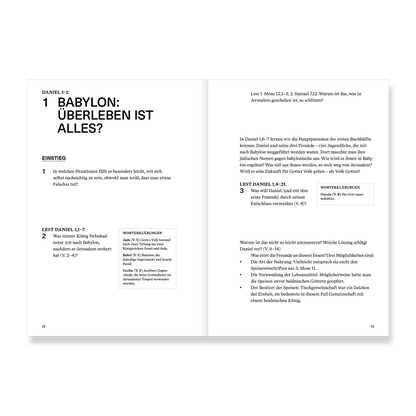 Daniel | Arbeitsheft (Die Bibel erklärt)