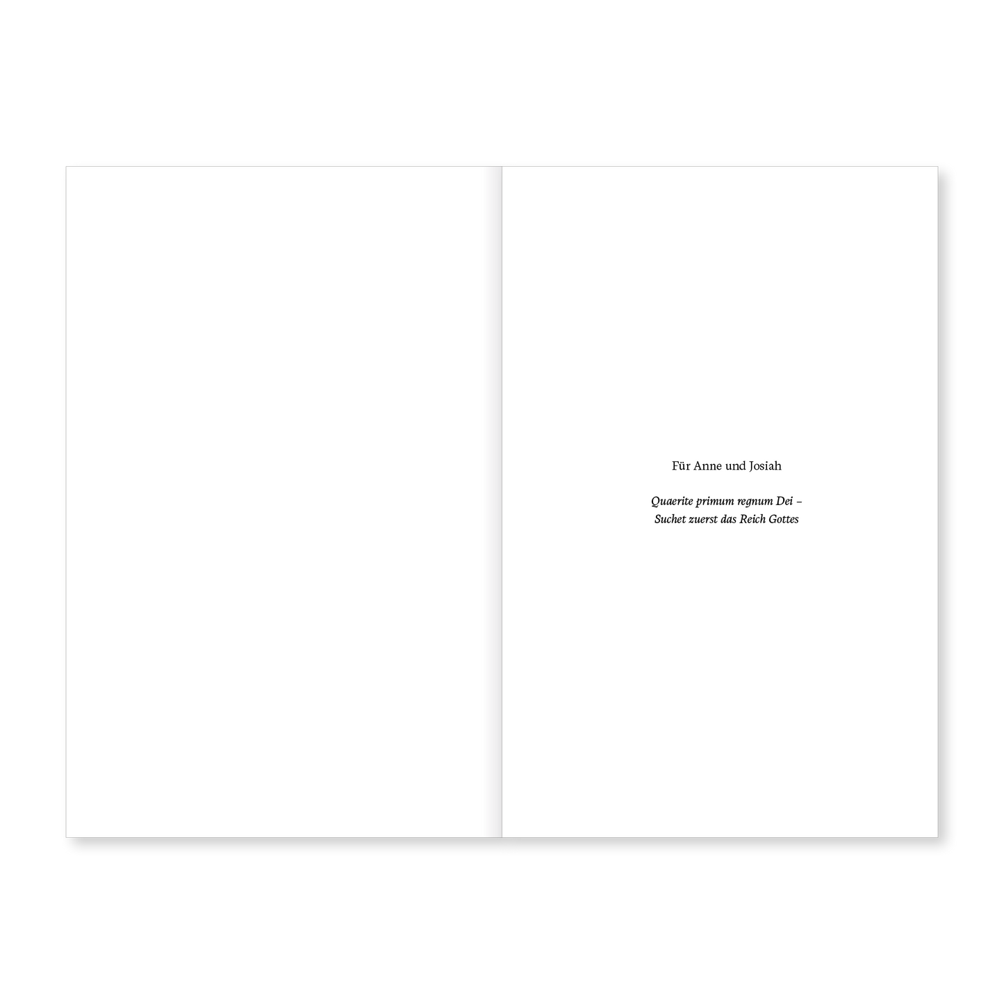 VM-Smith-GruenfunkenSaga-Ansicht04.png
