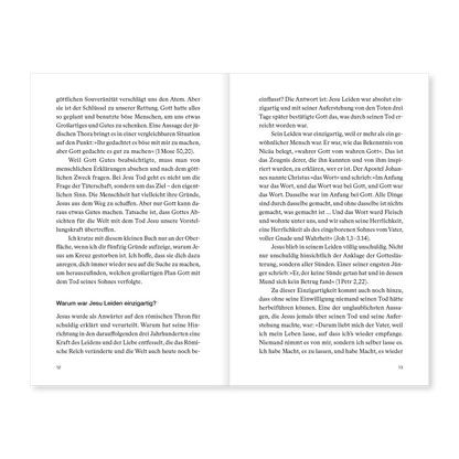 VM-Piper-WarumJesusSterben-Ansicht06.png
