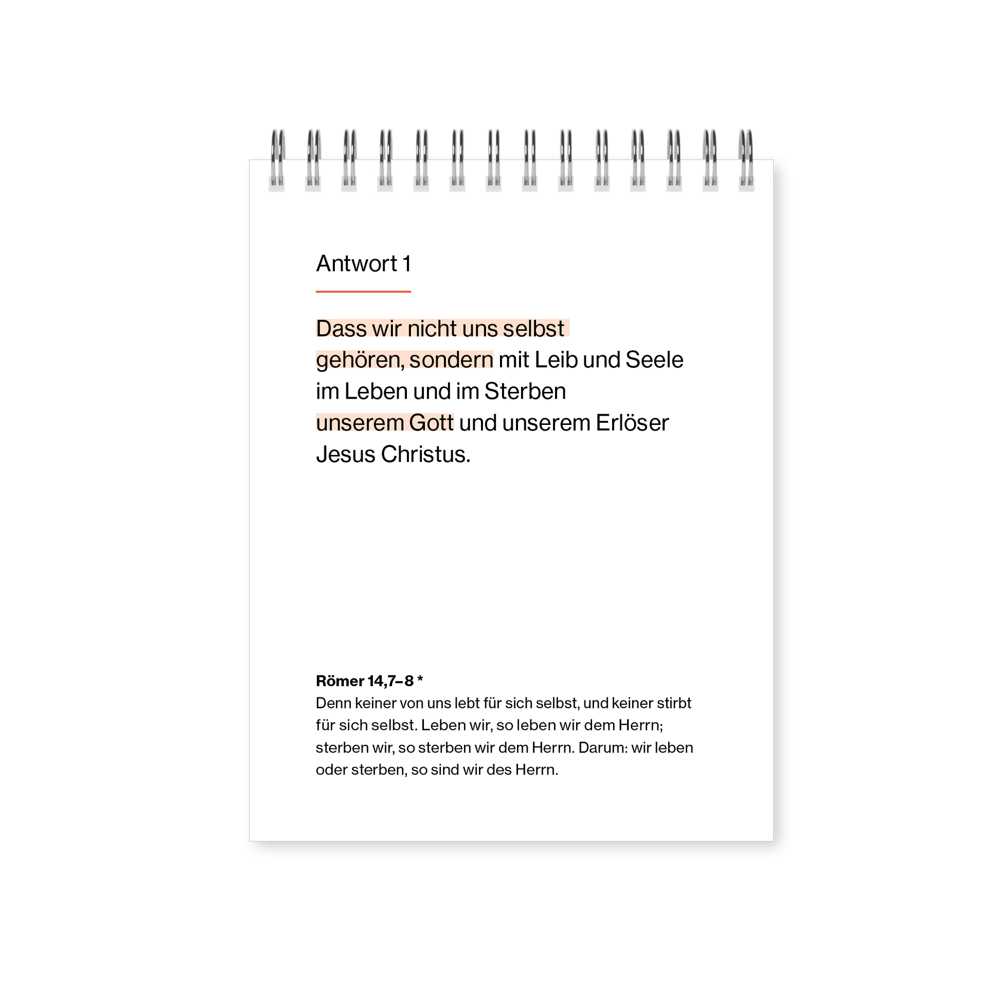 VM-NCK-Kalender-Ansicht06.png