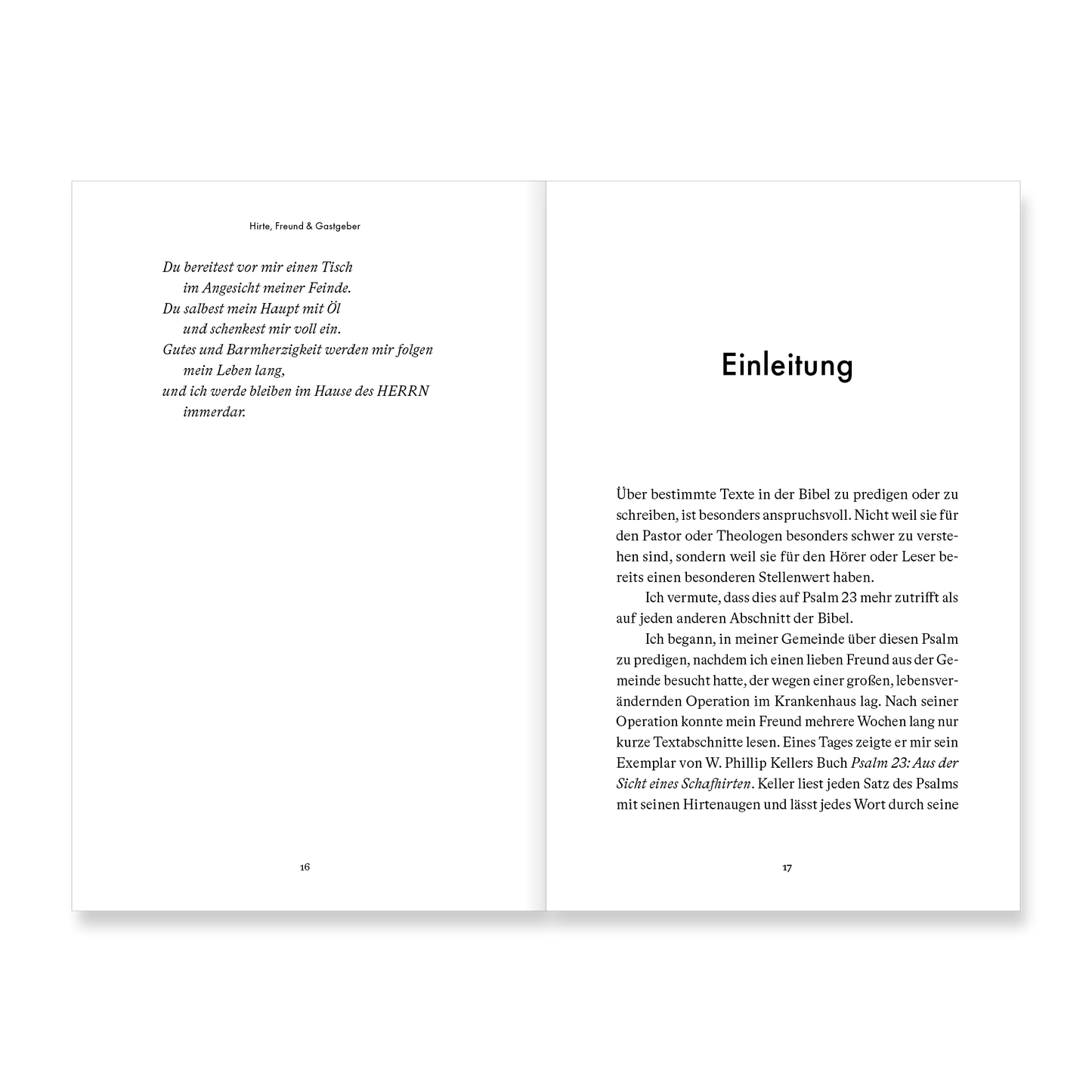 VM-JesusInPsalm23-Ansicht08.png