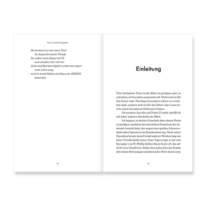 VM-JesusInPsalm23-Ansicht08.png