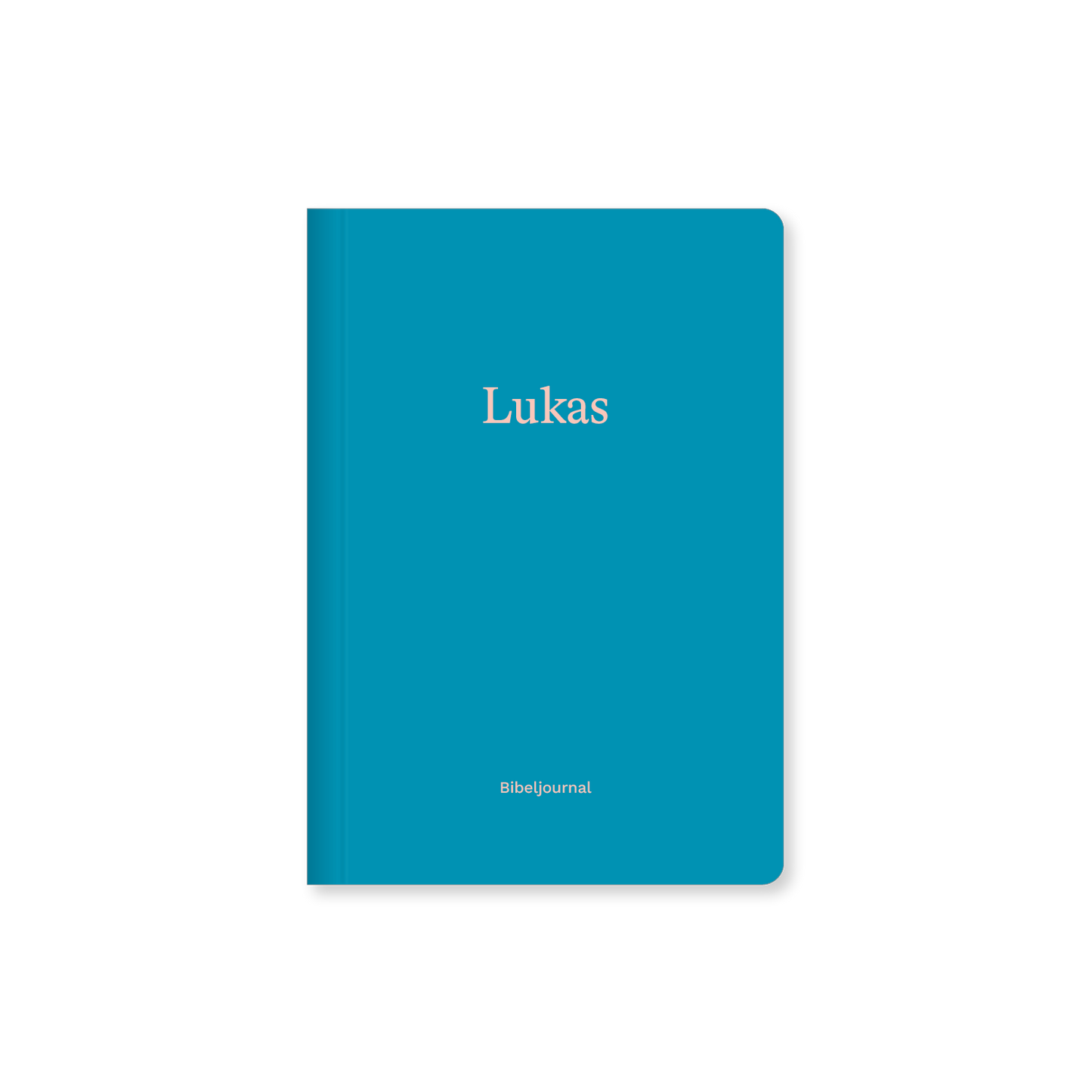 VM-BJ-Lukas-Ansicht01.png