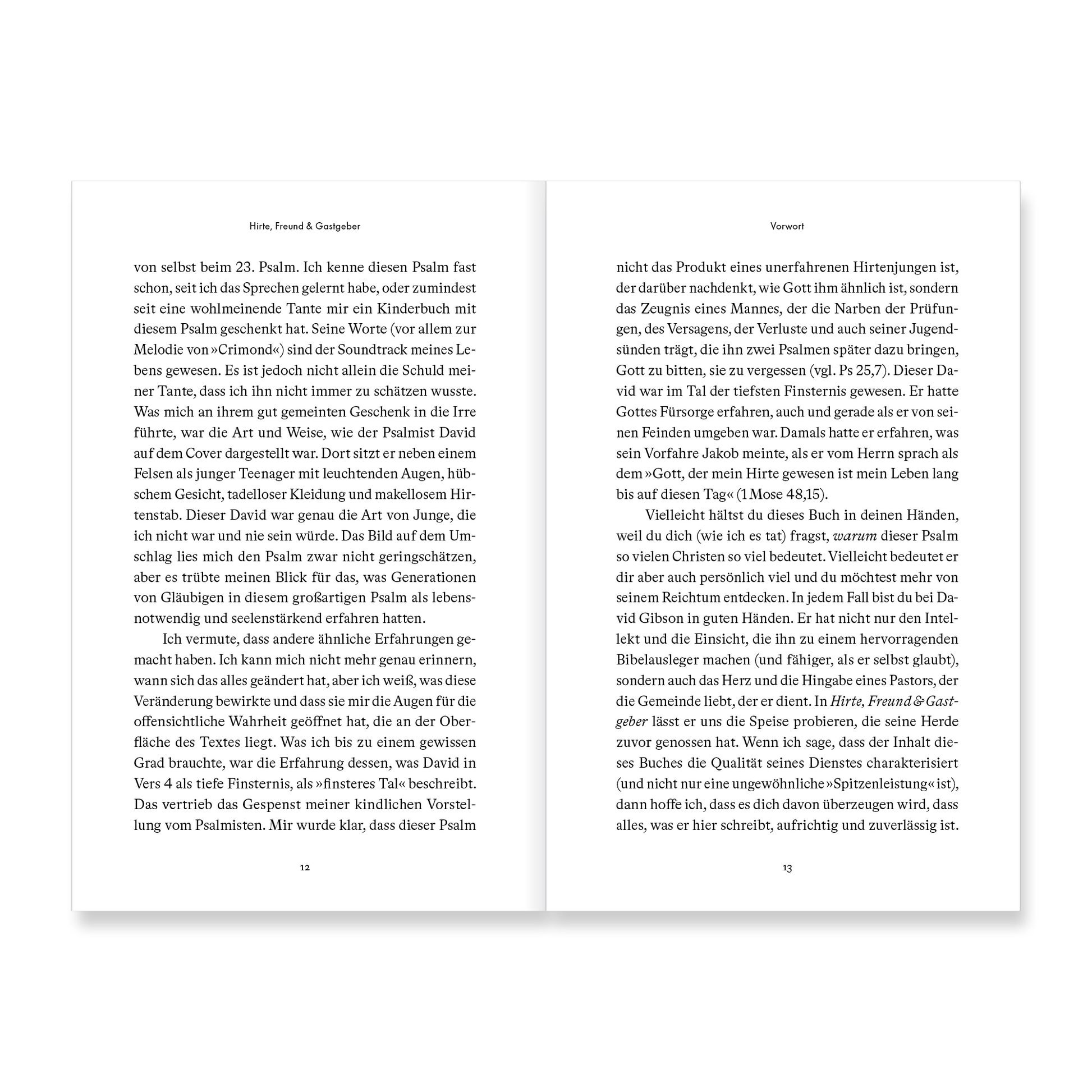 VM-JesusInPsalm23-Ansicht06.png