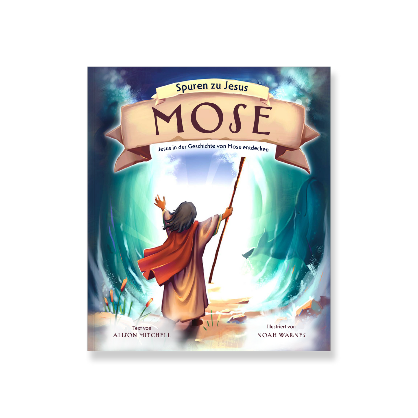 VM-Michell-Mose-SzJ-Ansicht01.png