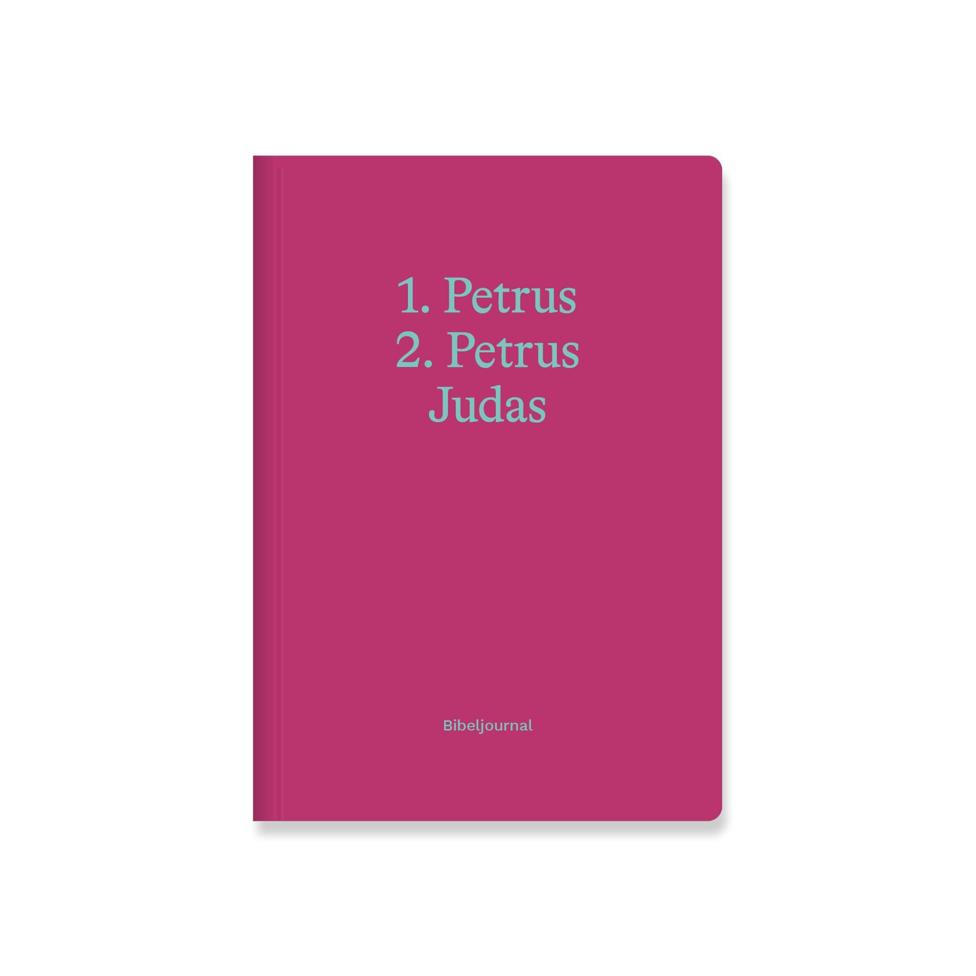 VM-BJ-Petrus-Ansicht01.png