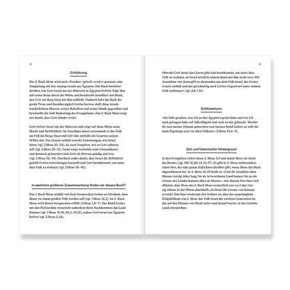 VM-KnowingBible-2Mose-Ansicht07.png