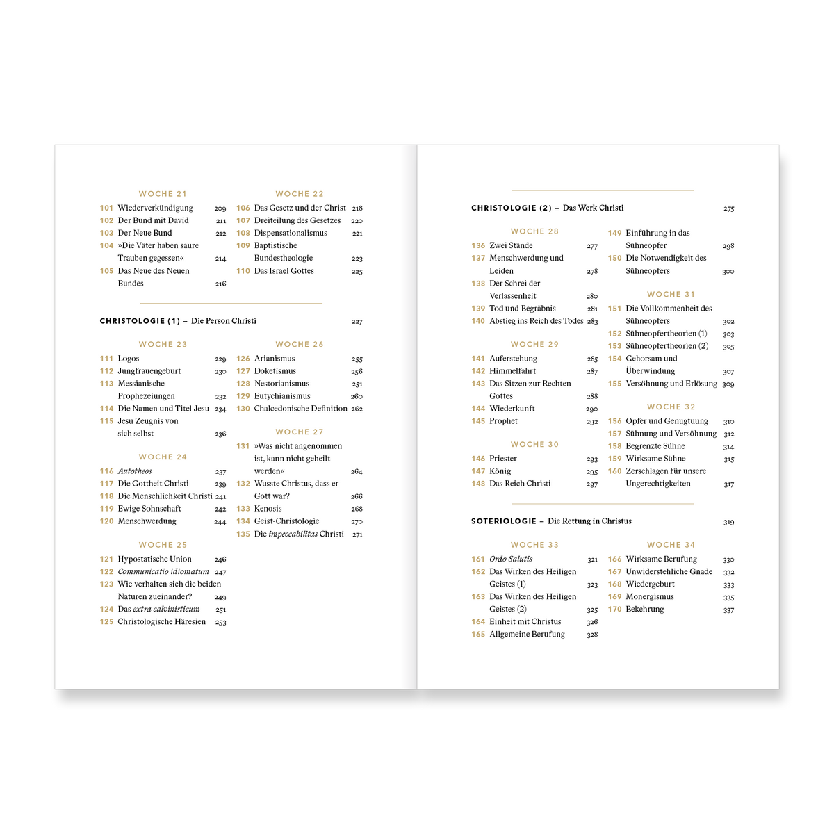 VM-DeYoung-TheoFJTag-Ansicht04.png
