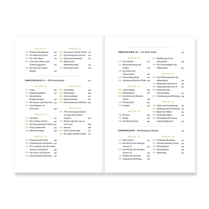 VM-DeYoung-TheoFJTag-Ansicht04.png