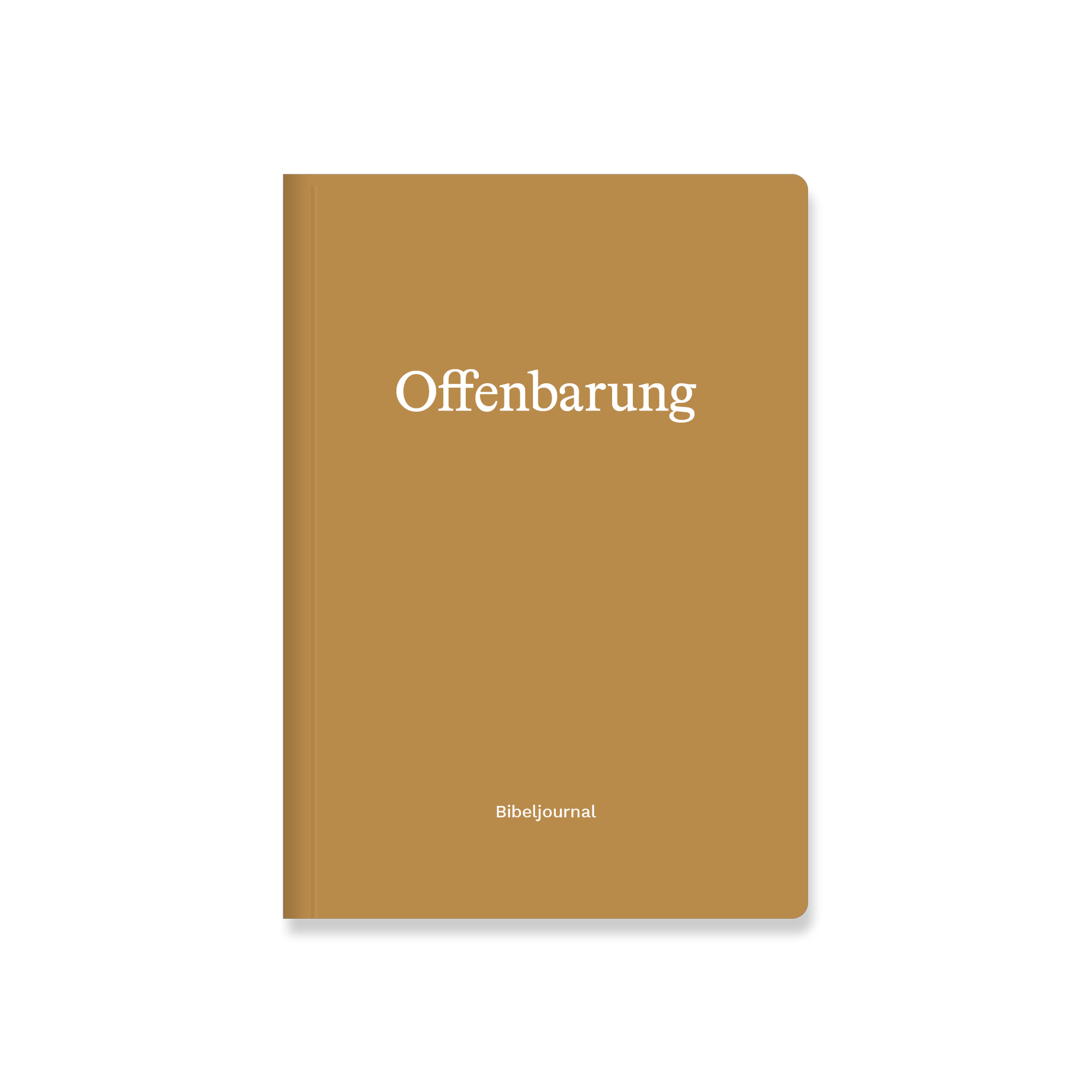VM-BJ-Offenbarung-Ansicht01.png