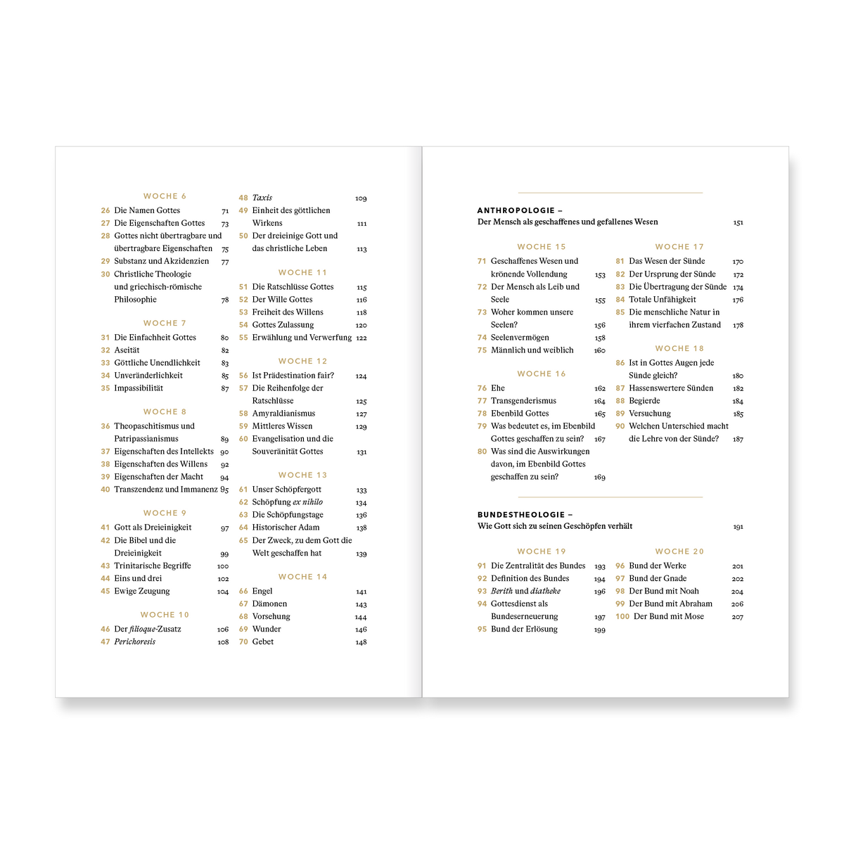VM-DeYoung-TheoFJTag-Ansicht03.png