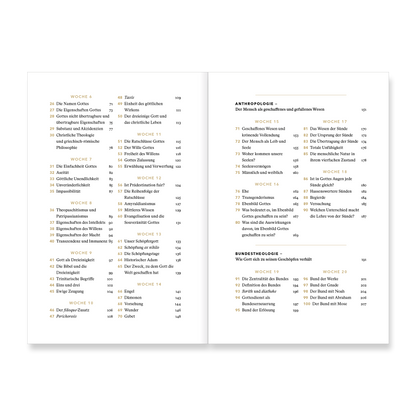 VM-DeYoung-TheoFJTag-Ansicht03.png