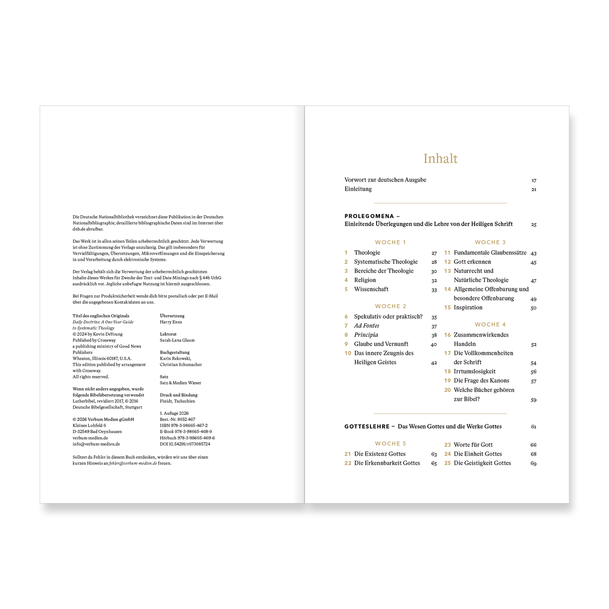 VM-DeYoung-TheoFJTag-Ansicht02.png