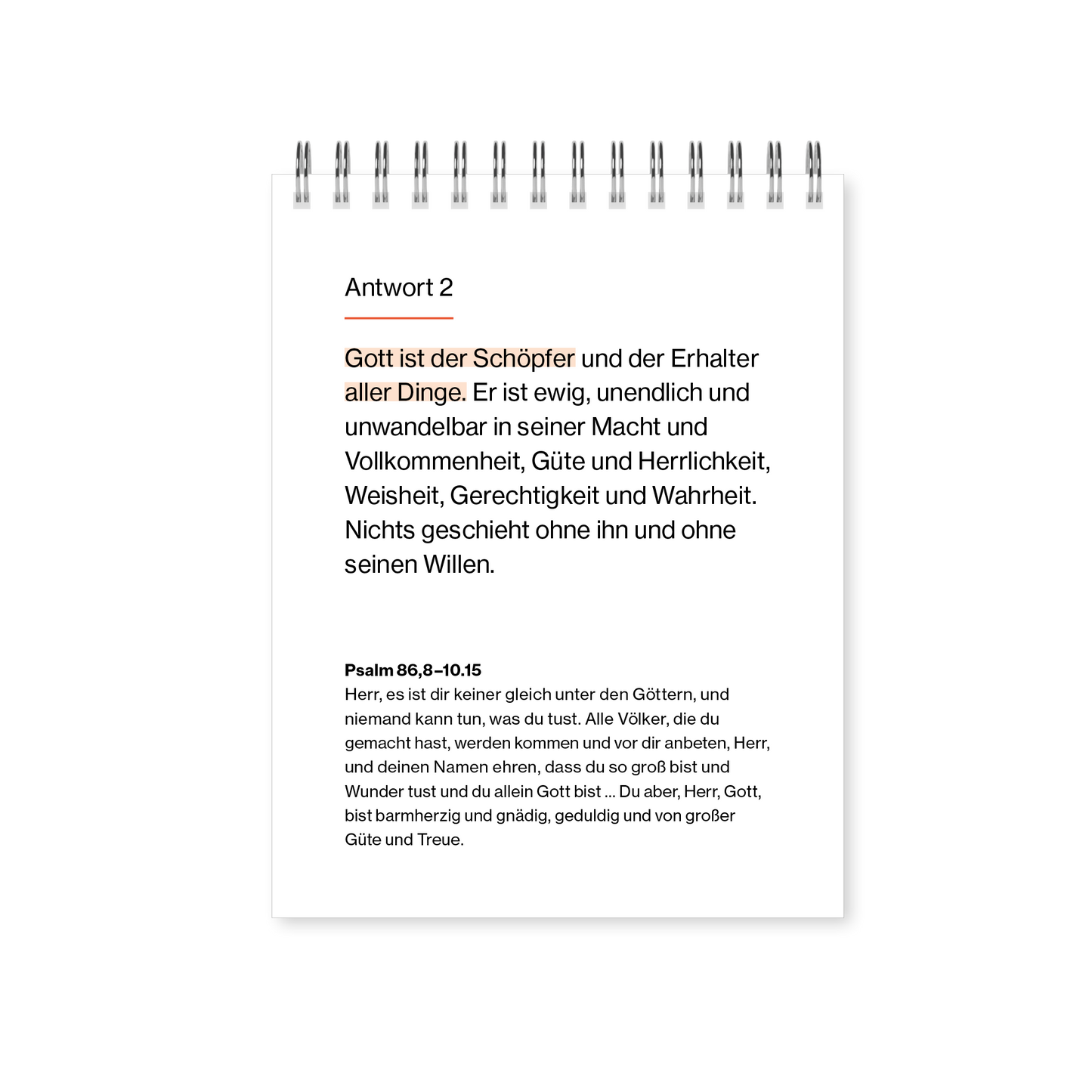 VM-NCK-Kalender-Ansicht08.png