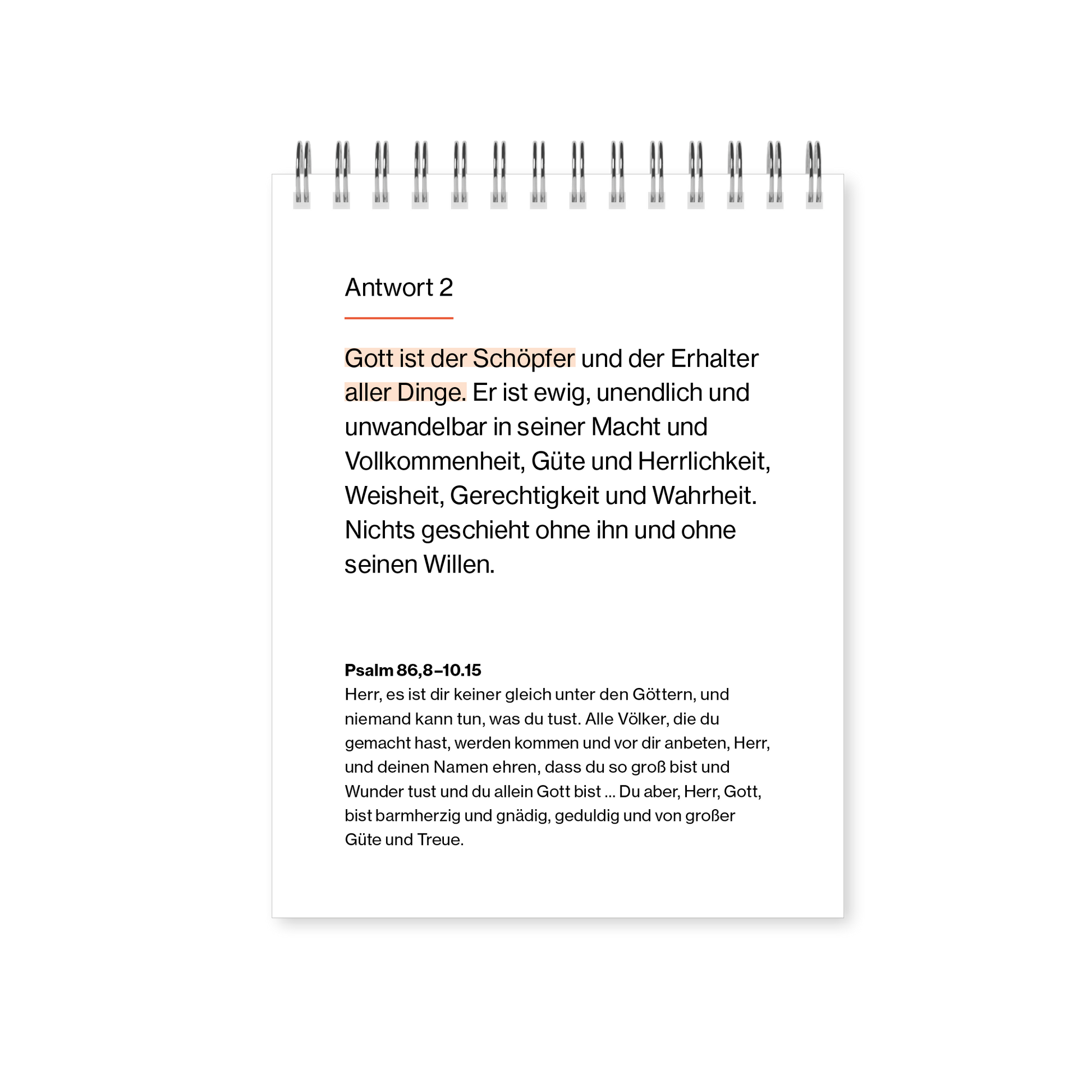 VM-NCK-Kalender-Ansicht08.png