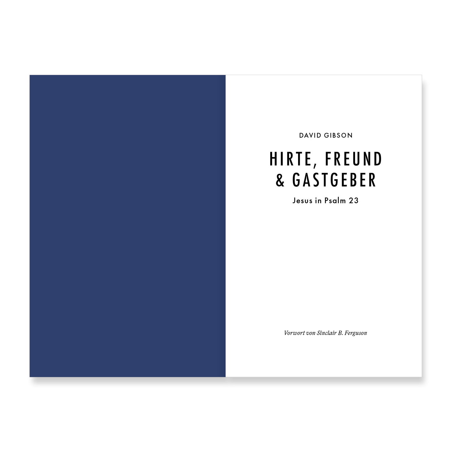 VM-JesusInPsalm23-Ansicht02.png