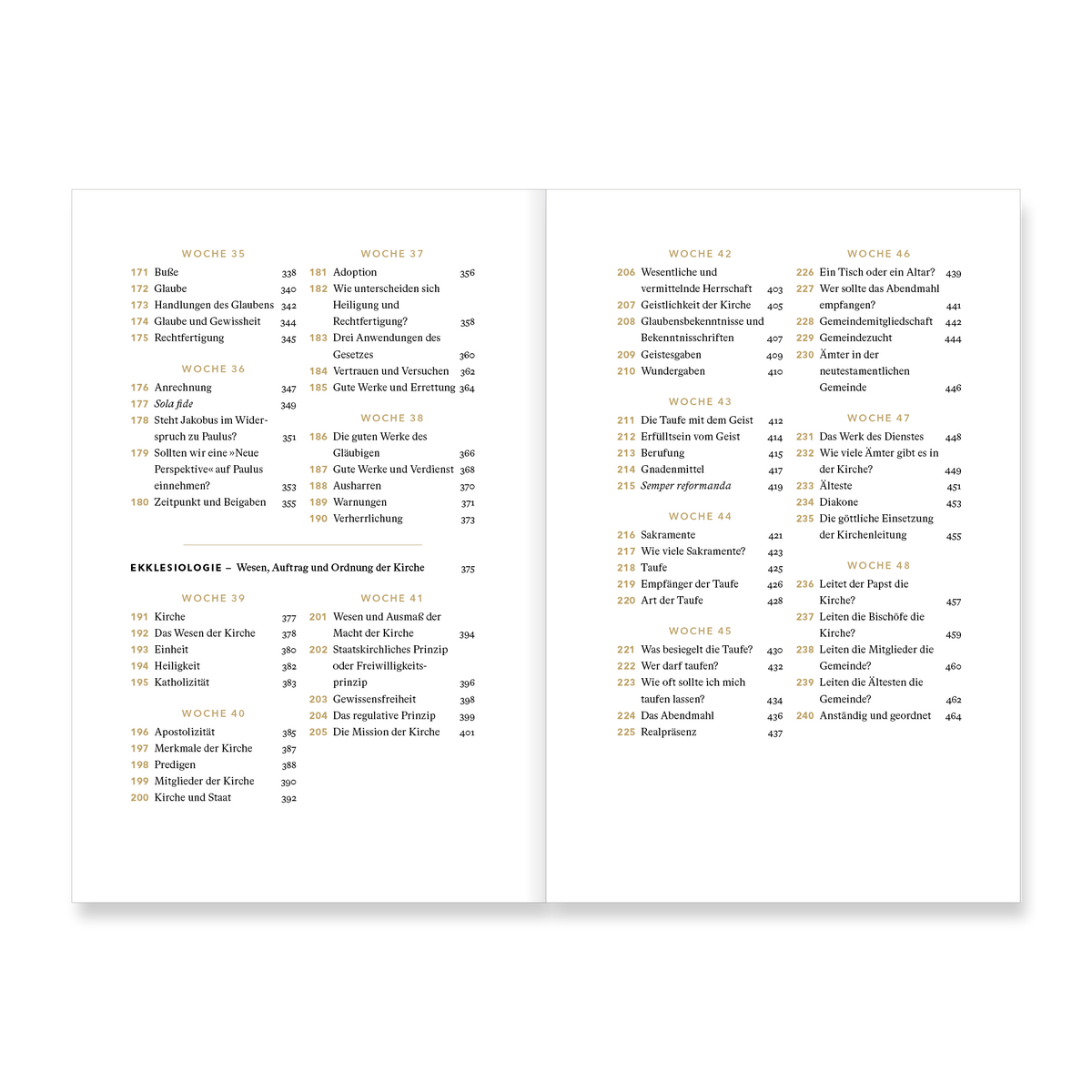 VM-DeYoung-TheoFJTag-Ansicht05.png