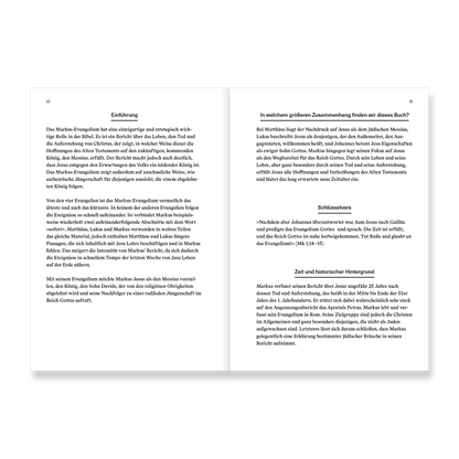 VM-KnowingBible-Markus-Ansicht07.png